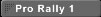Pro Rally 1