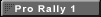 Pro Rally 1 minimum quantity orders only to be agreed